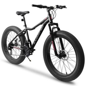 Ecarpat 26 Inch Fat Tires Mountain Bike, 4-Inch Wide Wheel, 21-Speed Disc Brakes, Mens Womens Trail Beach Snow Commuter City Mountain Bike (Color: as Pic)